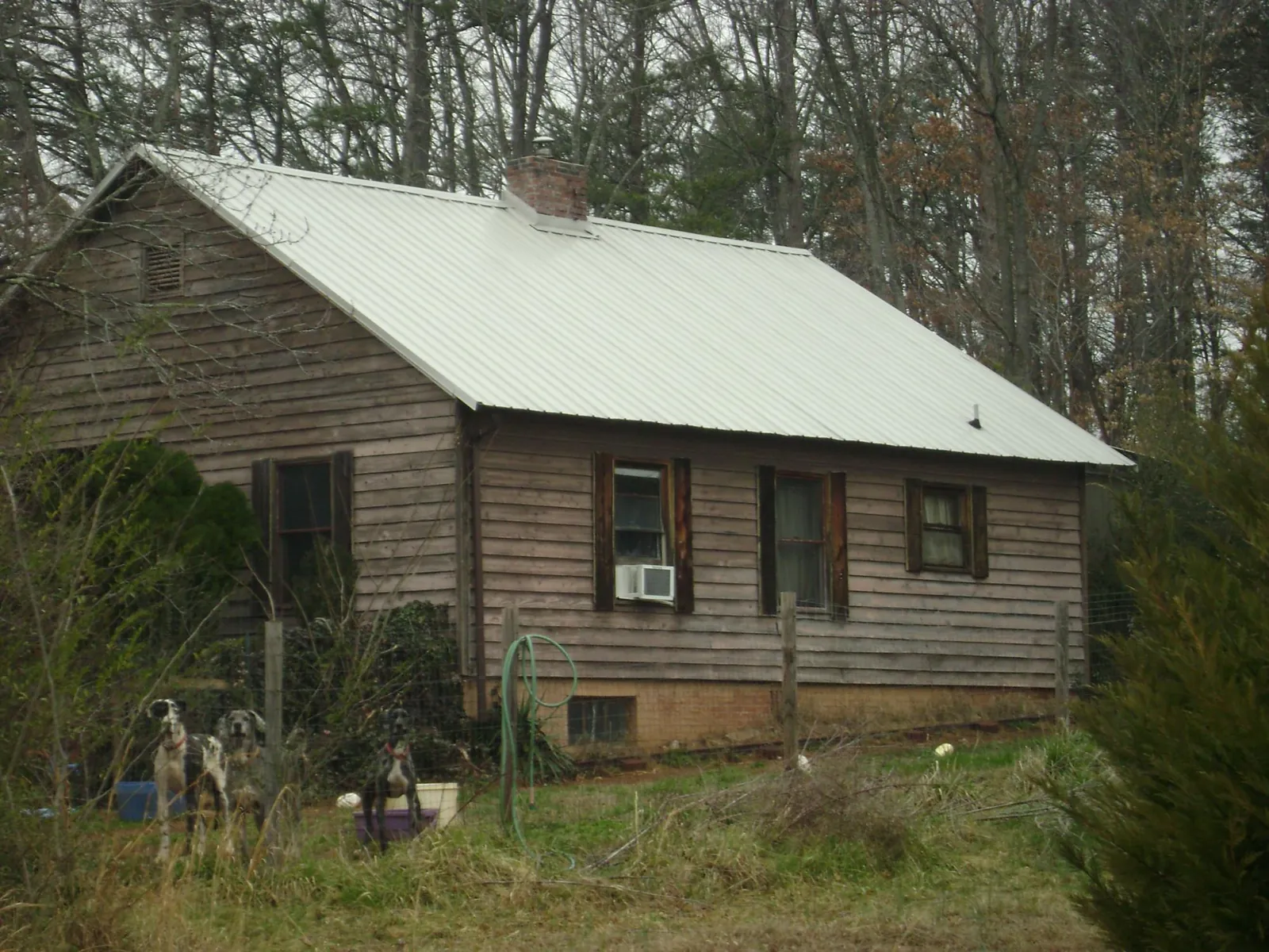 White metal roof on an old wood sided farmhouse, from a Asphalt Shingle Roof Repair job in Sula